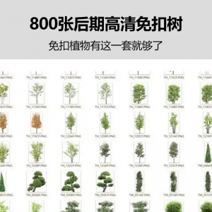 800张后期高清免扣树