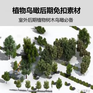 室外效果图植物鸟瞰后期免扣素材