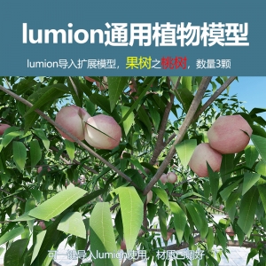 中国植物果树桃树3颗