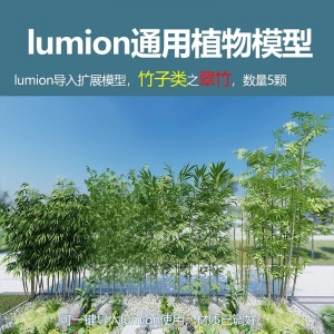 lumion中国竹子模型翠竹5颗