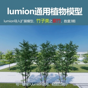 lumion中国竹子模型紫竹5颗