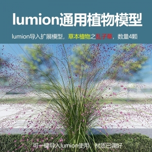 lumion草本植物乱子草模型4颗