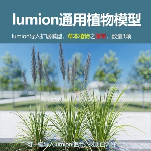 lumion草本植物蒲苇模型3颗