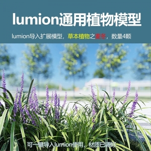 lumion草本植物麦冬4颗