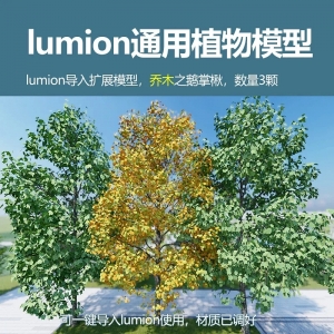 lumion乔木植物模型鹅掌楸3颗
