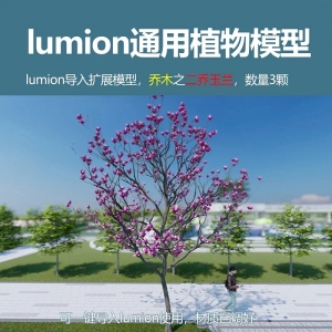 lumion乔木植物模型二乔玉兰3颗