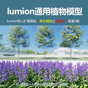 lumion草本植物鼠尾草3颗