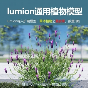 lumion草本植物薰衣草3颗