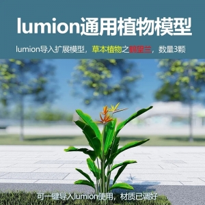 lumion草本植物鹤望兰3颗