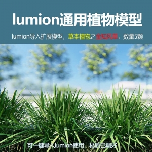 lumion中国草本植物金知风草5颗