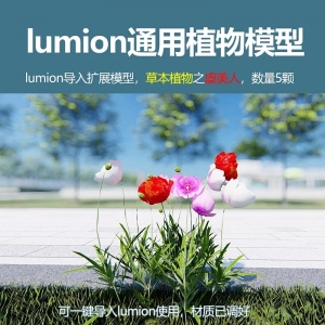 lumion中国草本植物虞美人5颗