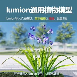 lumion中国草本植物鸢尾3颗