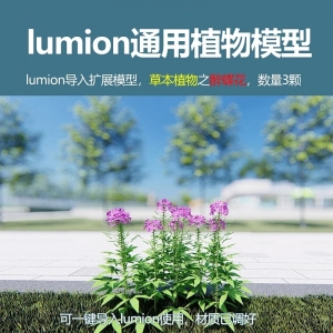 lumion中国草本植物醉蝶花3颗