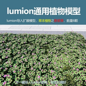 lumion中国草本植物酢浆草6颗