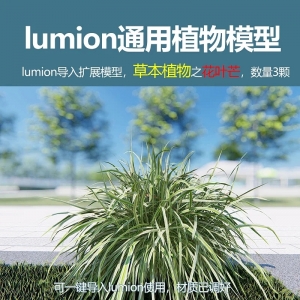 lumion中国草本植物花叶芒3颗
