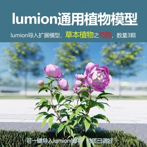 lumion中国草本植物芍药花3颗