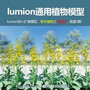 lumion中国草本植物油菜花3颗