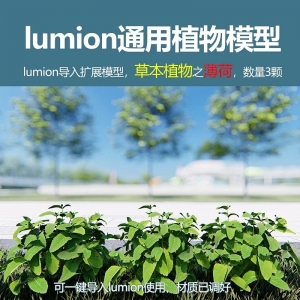 lumion中国草本植物薄荷3颗