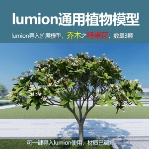 lumion中国植物模型乔木鸡蛋花3颗