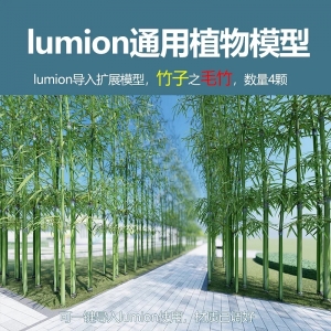 lumion中国植物毛竹4颗