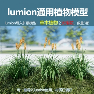 lumion中国草本植物火炬花模型3颗