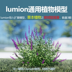 lumion中国草本植物紫绒鼠尾草3颗