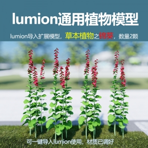 lumion中国草本植物锦葵模型3颗