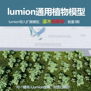 lumion中国灌木模型鹅掌柴3颗