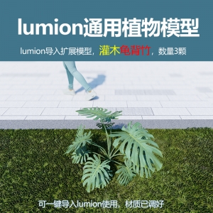 lumion中国灌木模型龟背竹3颗
