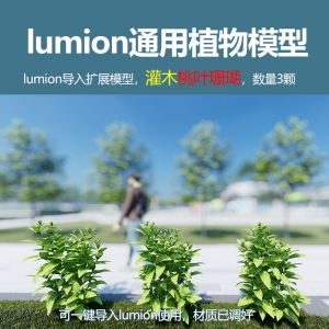 lumion中国灌木模型桃叶珊瑚3颗