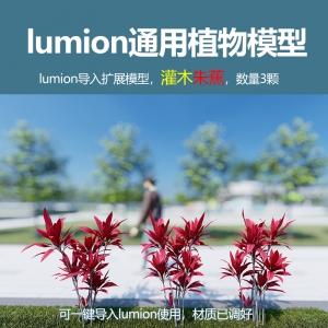 lumion中国灌木模型朱蕉3颗