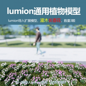 lumion中国灌木模型长春花3颗