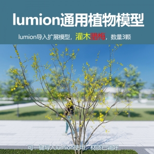 lumion中国灌木模型腊梅3颗