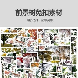免扣素材之前景树