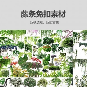 免扣素材之藤条