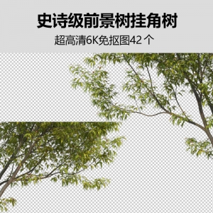 史诗级前景树挂角树超高清6K免抠图