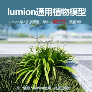 lumion中国草本植物扁竹兰模型3颗