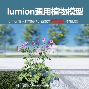 lumion中国草本植物模型老鹤草模型3颗