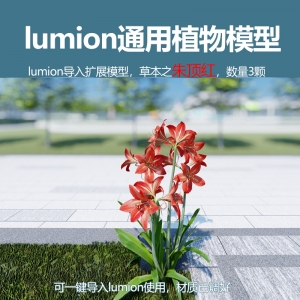 lumion中国草本植物模型朱顶红模型3颗