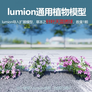 lumion中国草本植物模型针叶天蓝绣球模型1颗