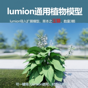 lumion中国草本植物玉簪花模型3颗