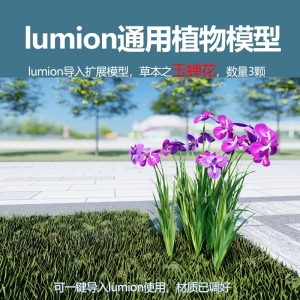 lumion中国草本植物玉蝉花模型3颗