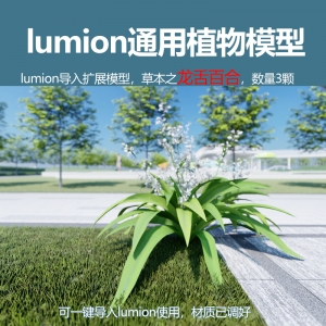 lumion中国草本植物龙舌百合模型3颗