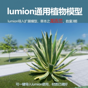 lumion中国草本植物龙舌兰模型3颗