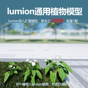 lumion中国草本植物马蹄莲1颗