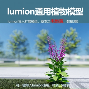 lumion中国草本植物毛地黄模型3颗