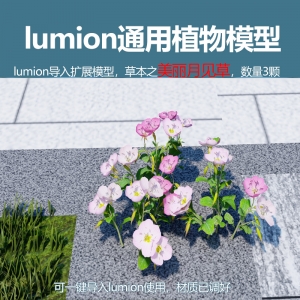 lumion草本植物美丽月见草模型3颗