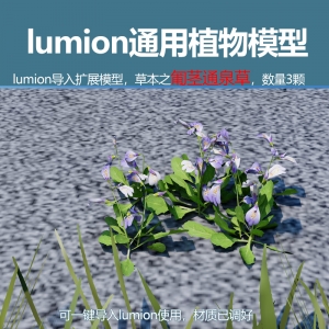lumion中国草本植物葡茎通泉草模型3颗