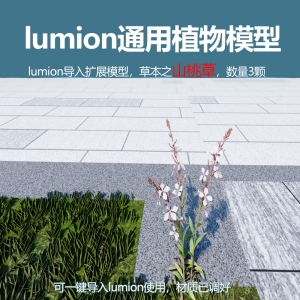 lumion中国草本植物模型山桃草3颗