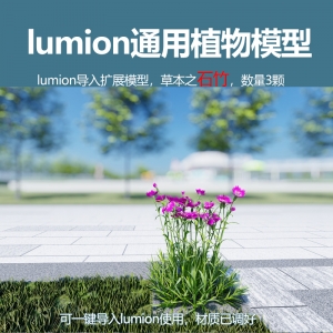 lumion中国草本植物石竹模型3颗